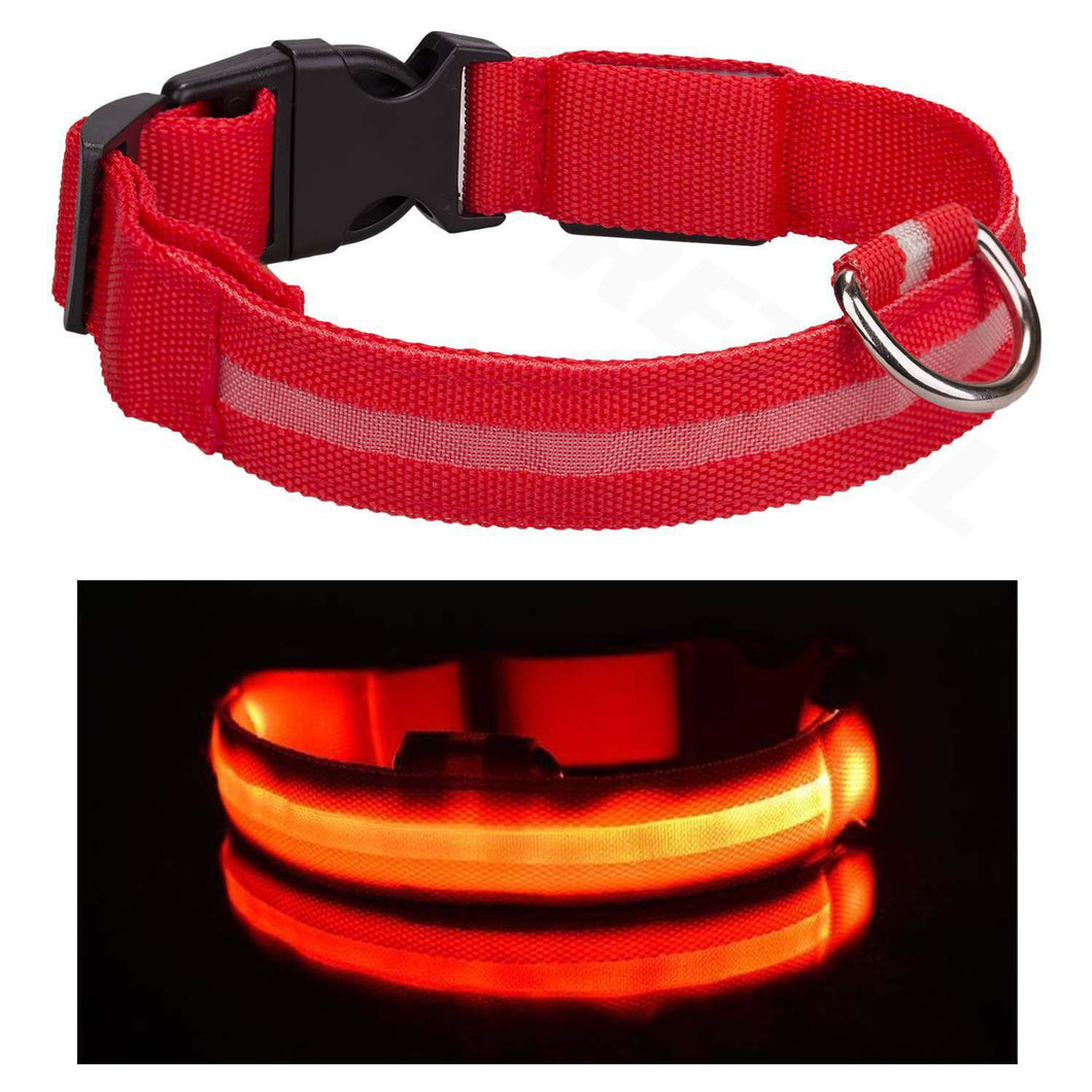 Light up store dog collar canada